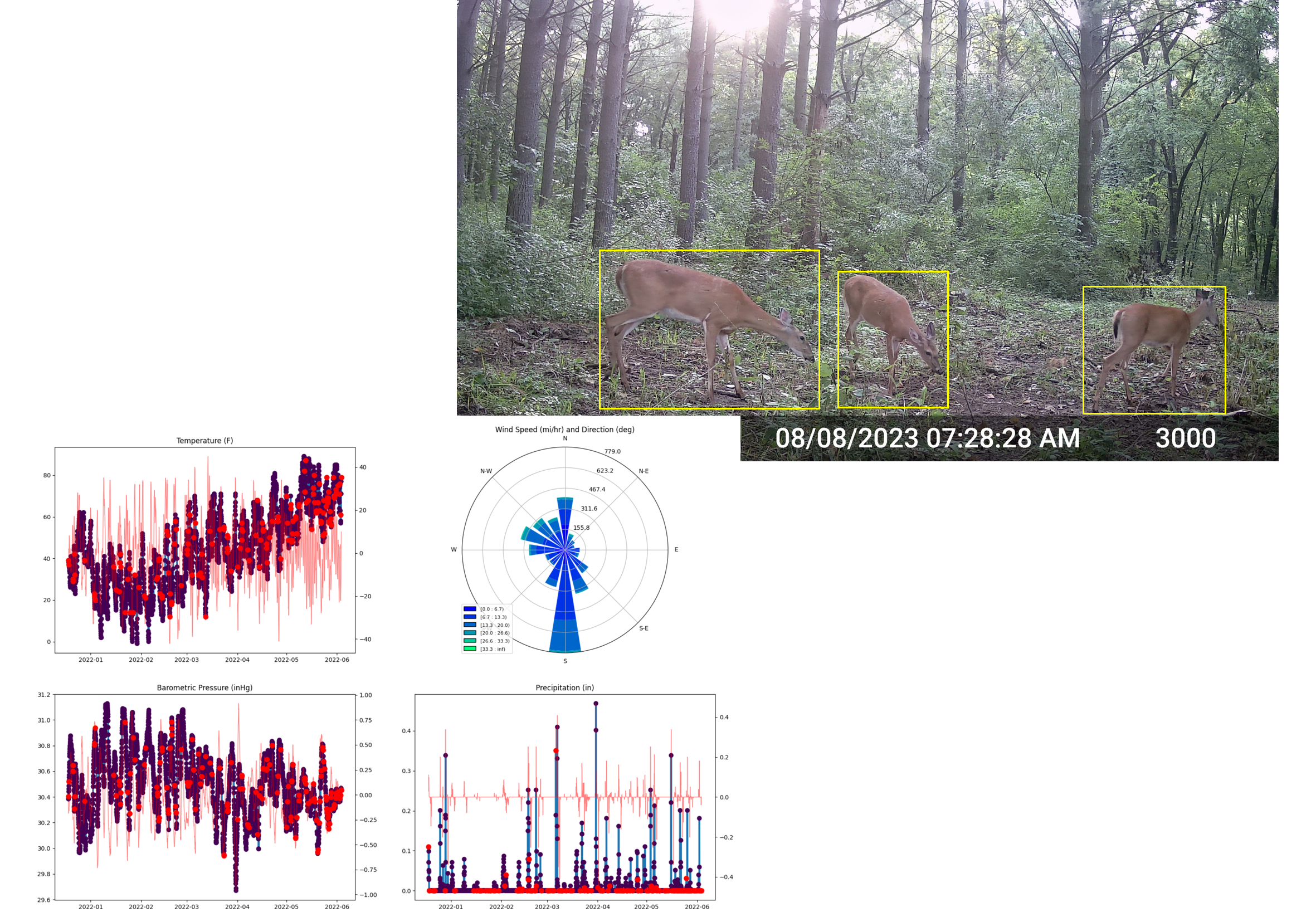 Tracing Deer with Bounding Boxes and Weather Data Plots